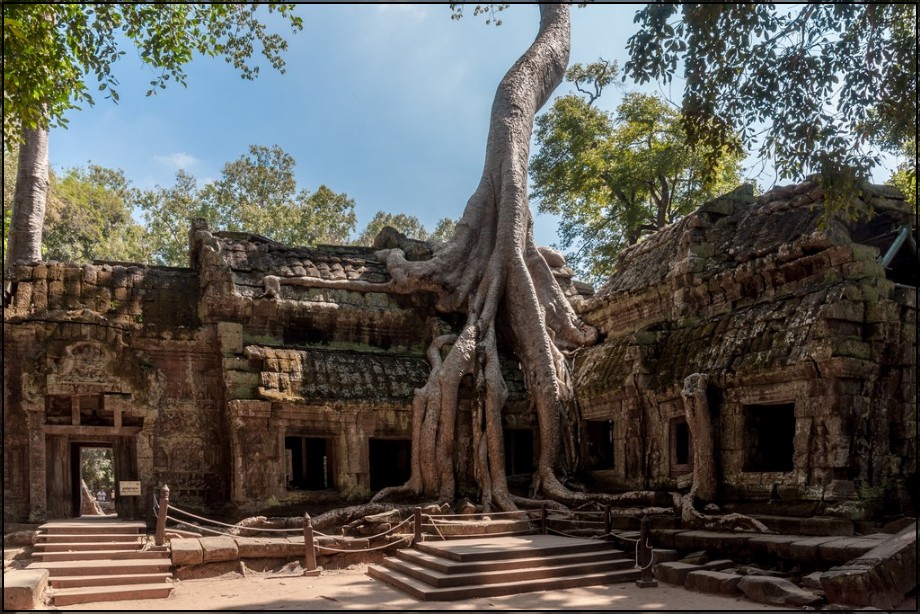 Ta Prohm - La maestosità inghiottita dalla natura - Paesi Fantasma